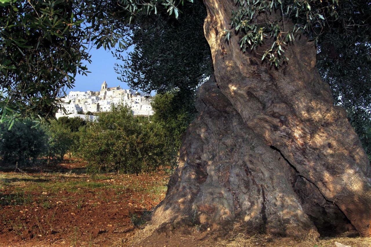 أوستوني B&B La Stradella المظهر الخارجي الصورة